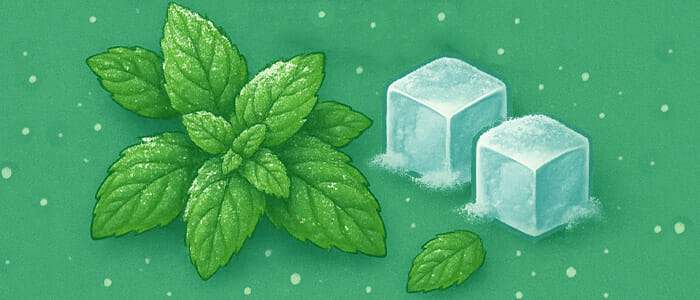 saveurs e-liquide menthe polaire 200 ml cap au sud